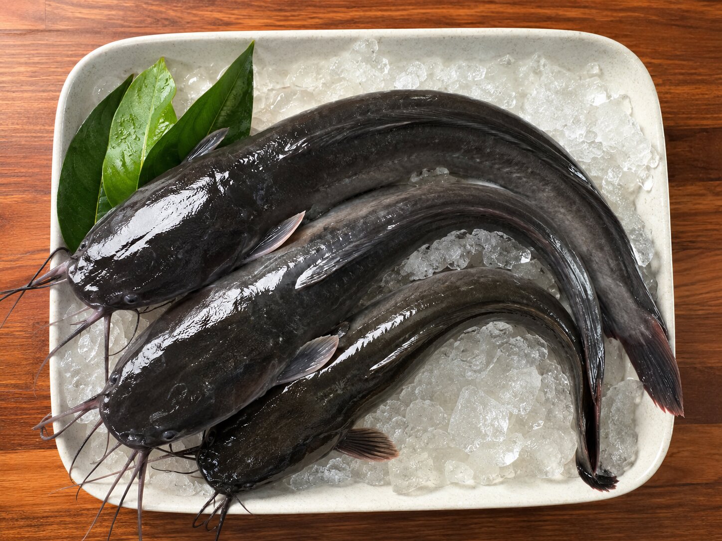 Ikan Lele Segar / KG
